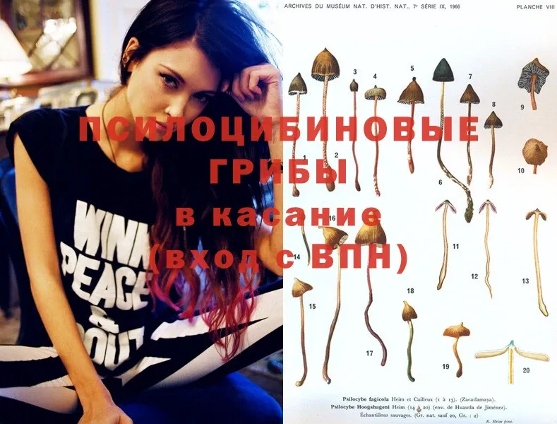 Галлюциногенные грибы Magic Shrooms  Лысьва 